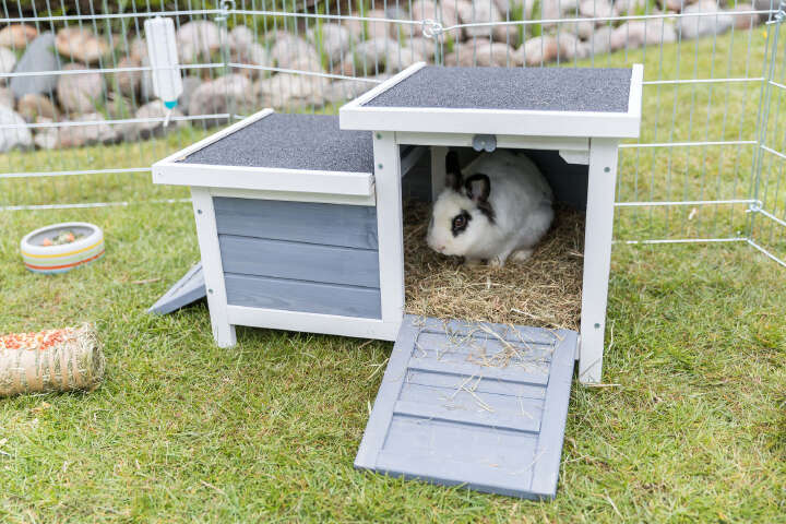 TRIXIE Kleintierhaus mit 2 Eingängen